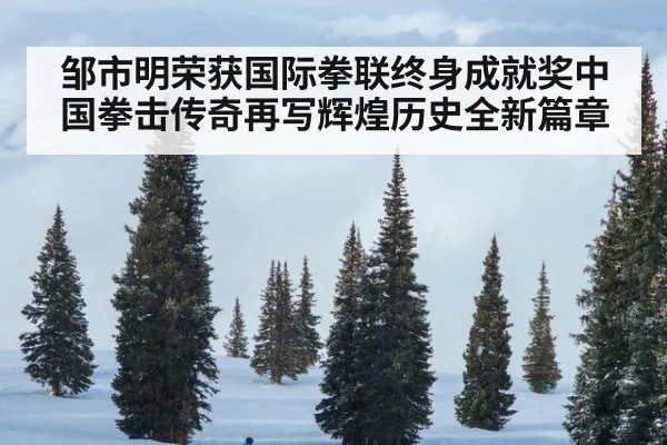 邹市明荣获国际拳联终身成就奖中国拳击传奇再写辉煌历史全新篇章